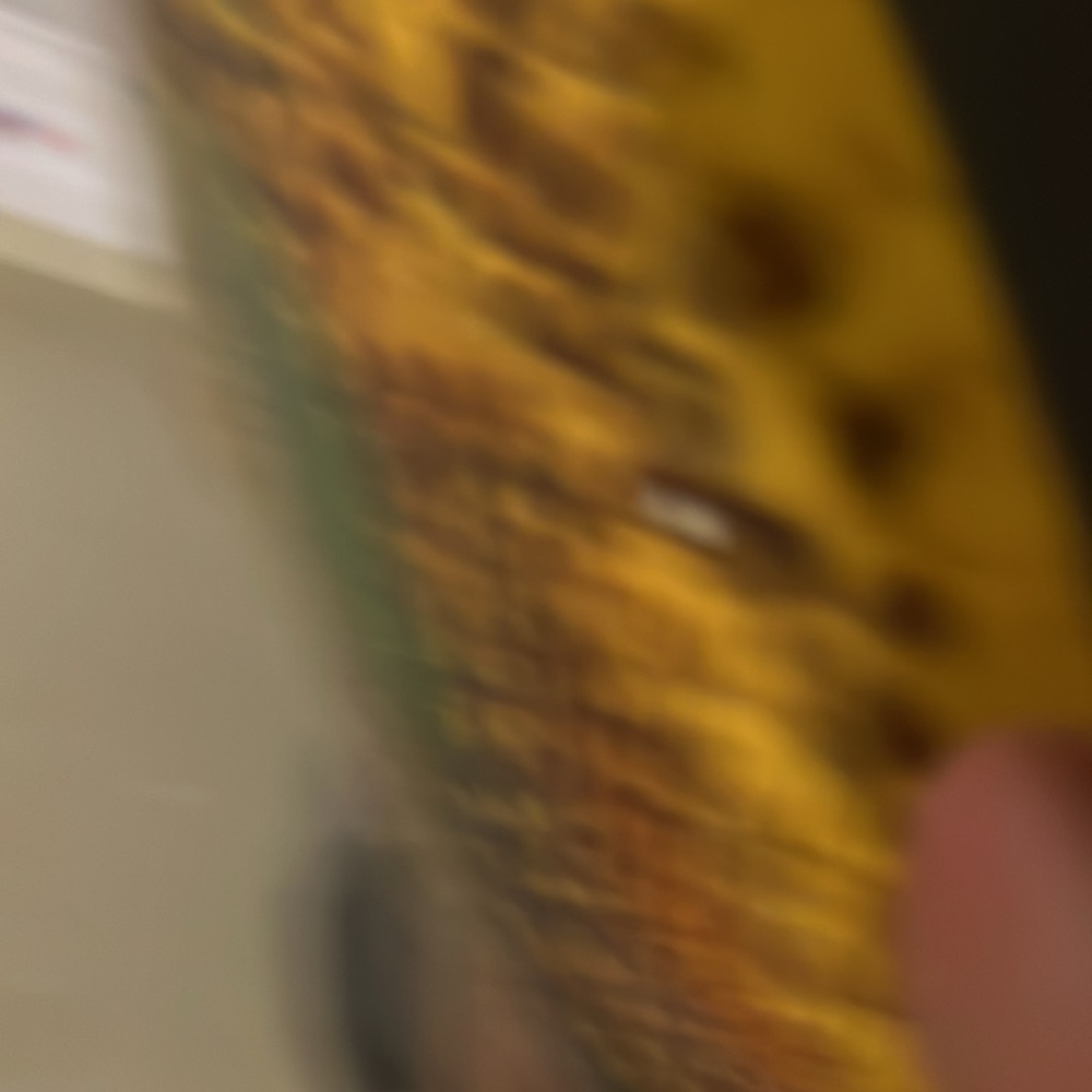 French connection NEW dragon snale scales laptop accesory case Retro Vintag 2012 - Picture 7 of 10